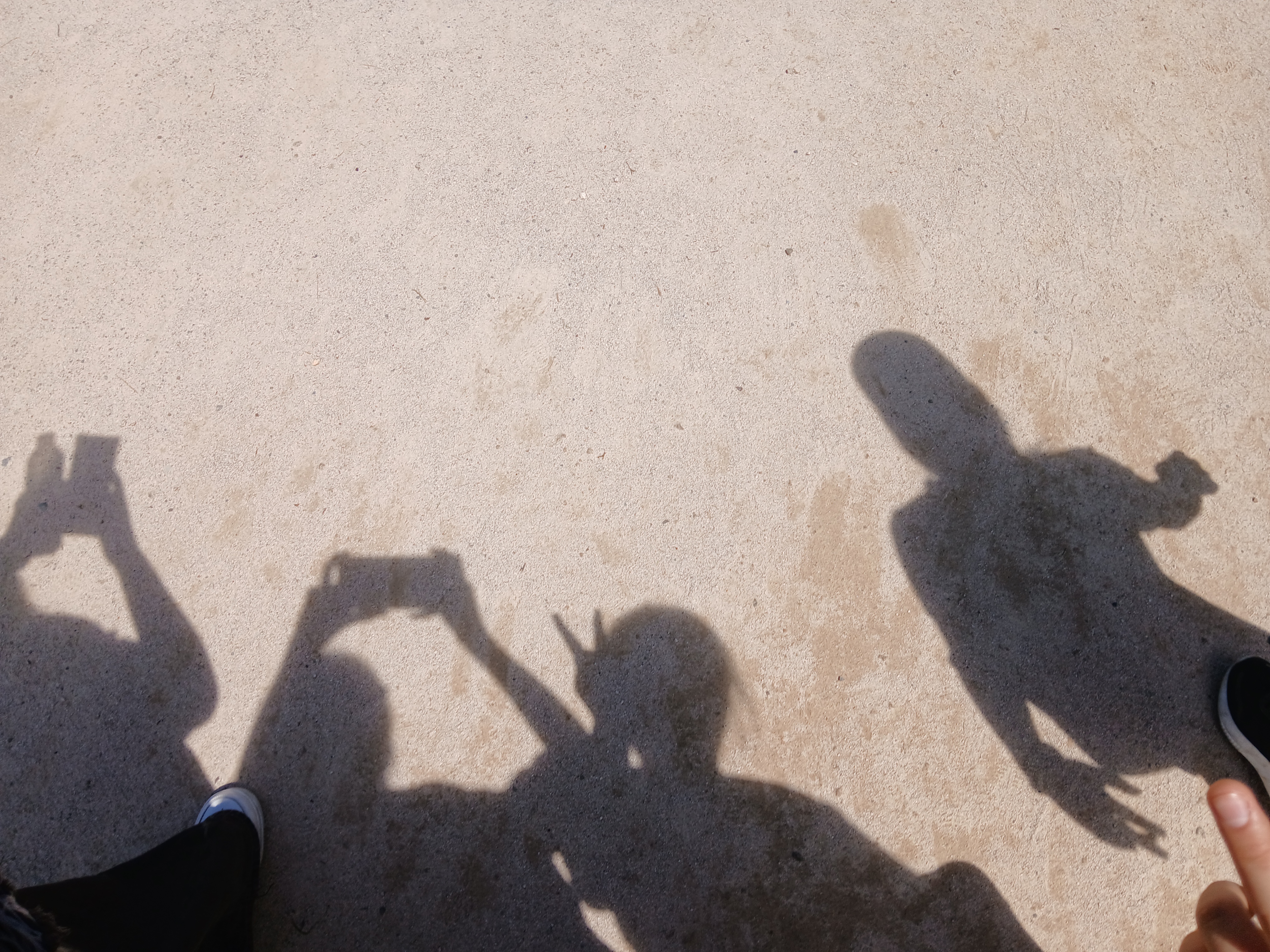 자료 수집 과정 사진 3